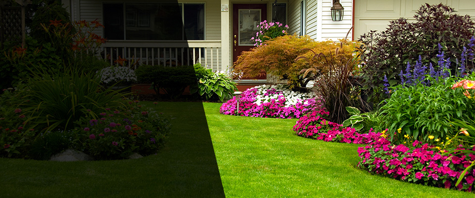 Brighton Landscapers